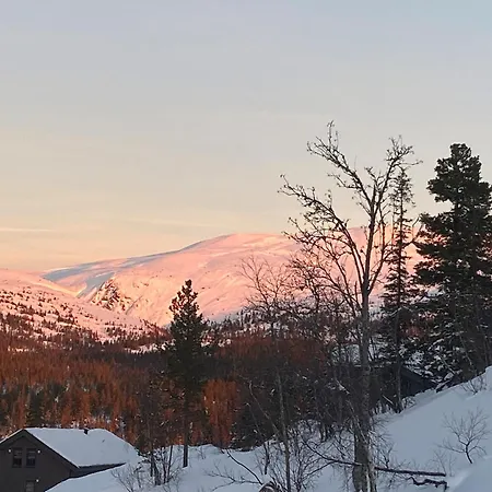 Norefjell, Ny Flott Hytte Til Leie Noresund Buitenkant foto