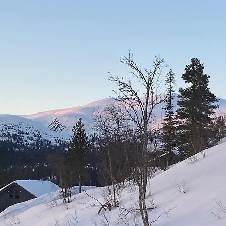Norefjell, Ny Flott Hytte Til Leie Noresund Buitenkant foto