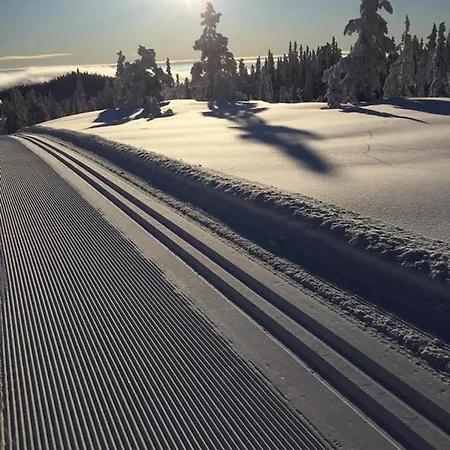 Norefjell, Ny Flott Hytte Til Leie Noresund Buitenkant foto