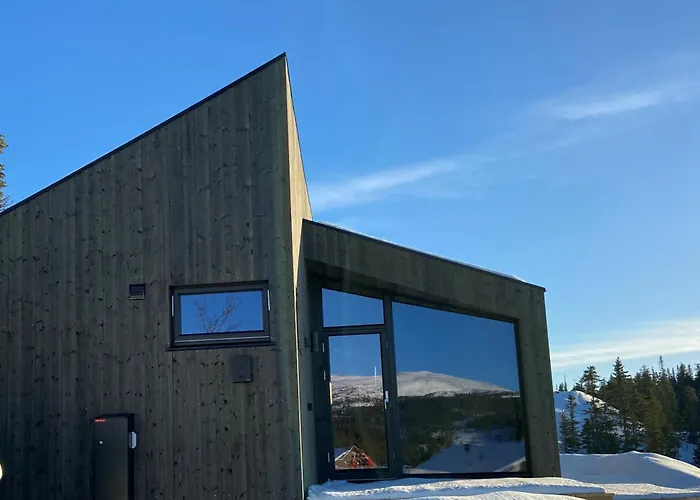 Norefjell, Ny Flott Hytte Til Leie