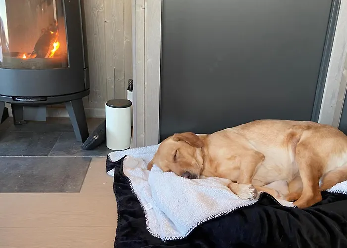 Norefjell, Ny Flott Hytte Til Leie